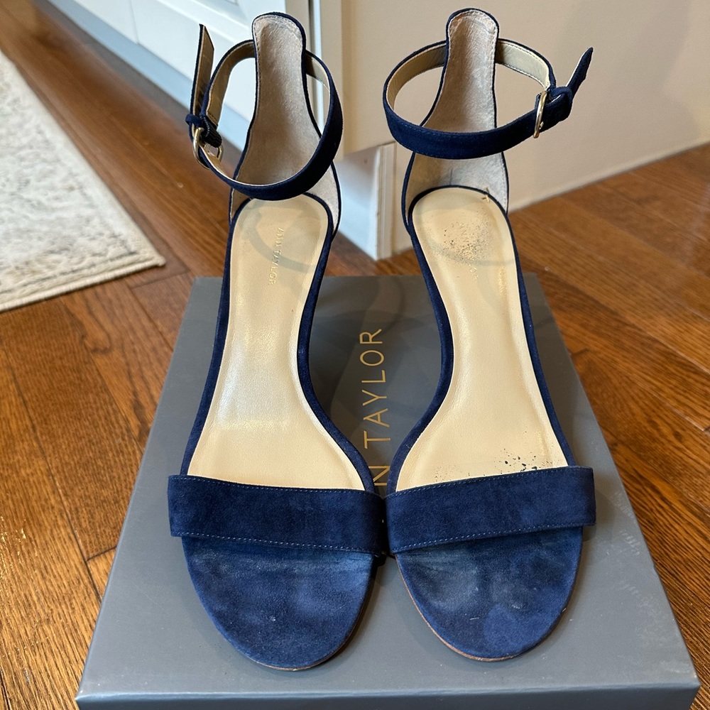 Ann Taylor Suede Blue Pumps
